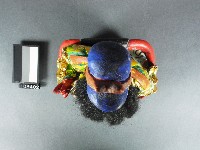 關聖帝君神像藏品圖，第2張