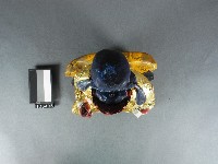 關聖帝君神像藏品圖，第2張