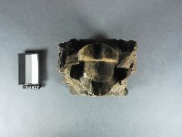 關聖帝君神像藏品圖，第2張