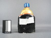 土地公神像藏品圖，第3張