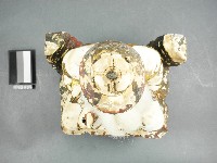 大清道德天尊神像藏品圖，第2張