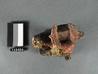 刑科神像藏品圖，第2張