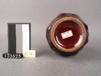 褐釉花瓶藏品圖，第2張