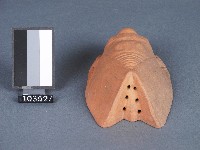 磚燒蟬形箸籠藏品圖，第2張