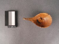 褐釉湯匙藏品圖，第2張