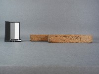 龜印模藏品圖，第2張