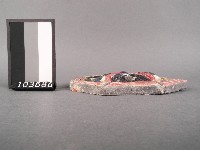 獅頭啣劍藏品圖，第2張