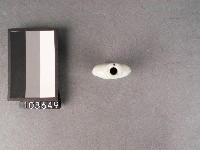 青花鼻煙壺藏品圖，第2張