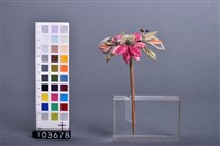 纏花竹髮簪藏品圖，第1張