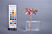 纏花竹髮簪藏品圖，第2張