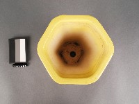 黃地花卉紋六角花盆藏品圖，第2張