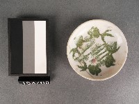 綠彩印花魚紋碟藏品圖，第1張