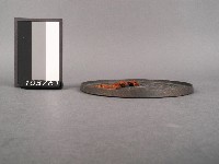 銅鏡藏品圖，第2張