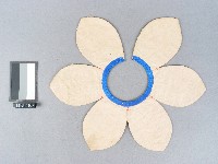 花蝶紋雲肩藏品圖，第2張
