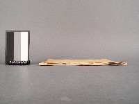 擊鉢吟八集(卷下)藏品圖，第2張