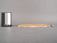 擊鉢吟鄂集(卷下)藏品圖，第2張