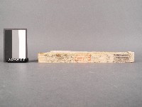 噶瑪蘭廳志 卷一二藏品圖，第3張