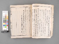 噶瑪蘭廳志 卷一二藏品圖，第4張