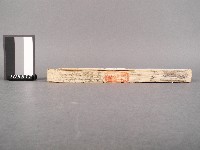 噶瑪蘭廳志 卷三四藏品圖，第2張