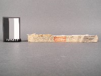 噶瑪蘭廳志 卷五六藏品圖，第2張