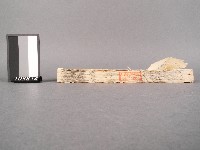 噶瑪蘭廳志 卷七八藏品圖，第2張