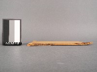 校正古文析義初編卷五藏品圖，第2張