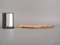 校正古文析義二編卷一藏品圖，第2張