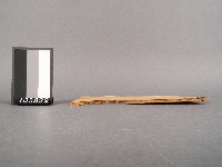 校正古文析義二編卷三藏品圖，第2張