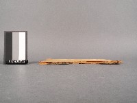 校正古文析義二編卷四藏品圖，第2張