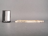 漁洋(山人)精華錄卷二.三藏品圖，第2張