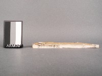 漁洋(山人)精華錄卷四.五藏品圖，第2張