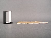 漁洋(山人)精華錄卷六藏品圖，第2張