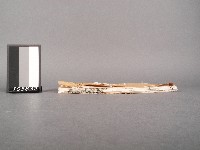 漁洋(山人)精華錄卷七.八藏品圖，第2張