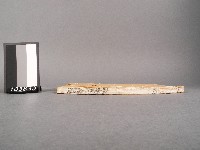 漁洋(山人)精華錄卷九.十藏品圖，第2張