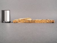 書經精華 卷五.六藏品圖，第2張