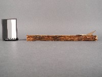 四書備旨(補註)上孟藏品圖，第2張