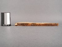 四書備旨(補註)上論藏品圖，第2張