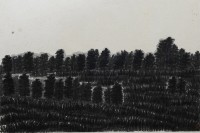 叢林4藏品圖，第1張