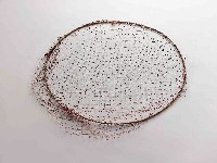 蝦姑頭網藏品圖，第1張