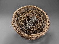 鯊王棍籠藏品圖，第2張