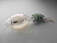 集魚燈泡藏品圖，第1張