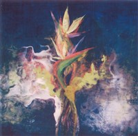 仰望藏品圖，第1張