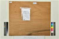 登錄號:2025A020104藏品圖，第2張