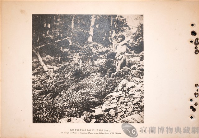 台灣蕃族圖譜第二卷藏品圖，第48張