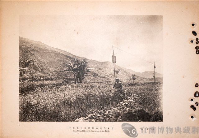 台灣蕃族圖譜第二卷藏品圖，第59張