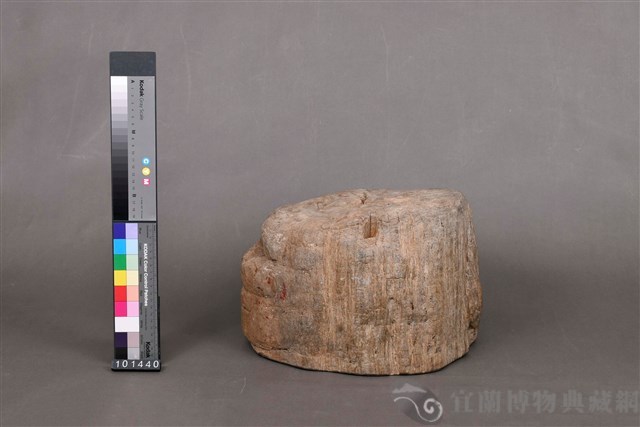 木化石藏品圖，第3張