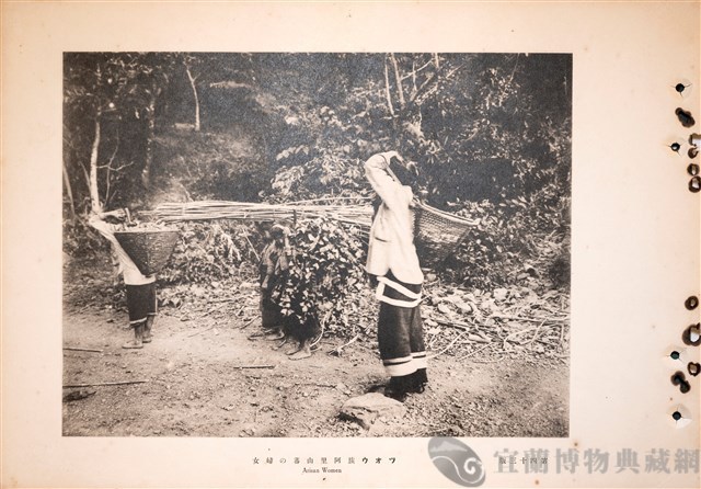 台灣蕃族圖譜第二卷藏品圖，第61張