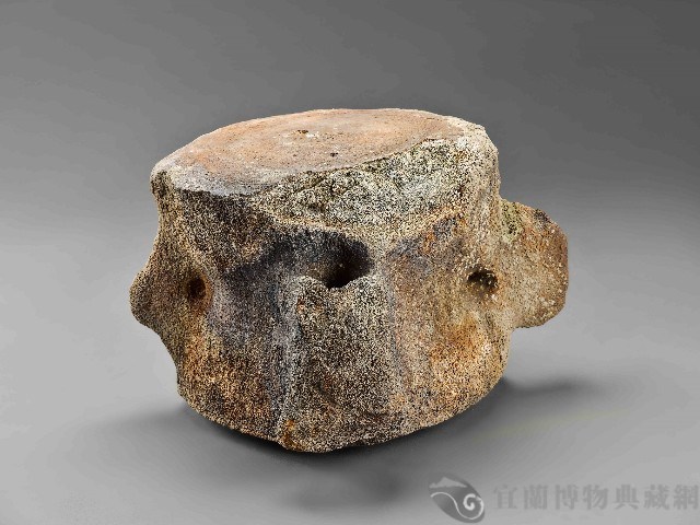 鯨魚骨藏品圖，第1張
