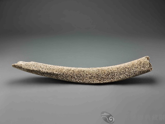 鯨魚骨藏品圖，第1張
