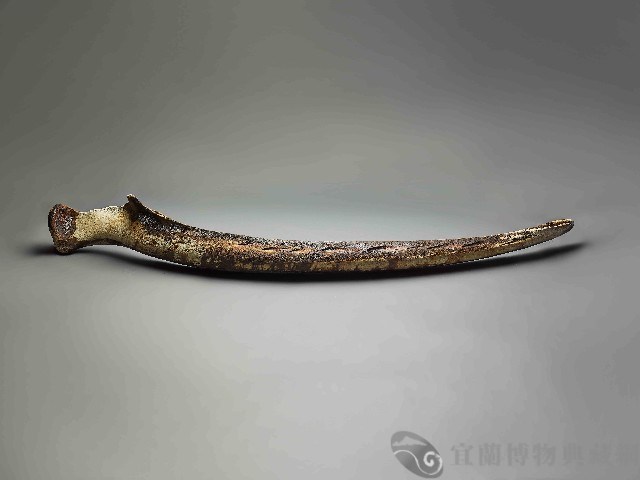 鯨魚骨藏品圖，第1張